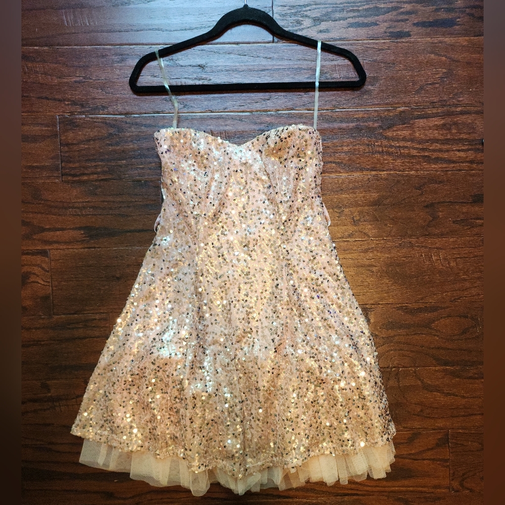 Potter's Pot fit and flare pink sequin strapless mini dress